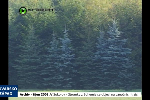 2003 – Sokolov: Stromky z Bohemie se objeví na vánočních trzích (TV Západ)