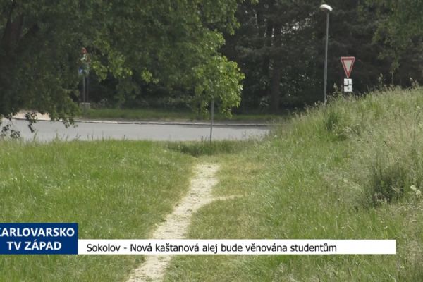 Sokolov: Nová kaštanová alej bude věnována studentům (TV Západ)