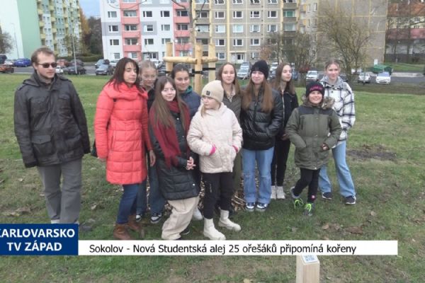 Sokolov: Nová Studentská alej 25 ořešáků připomíná kořeny (TV Západ)