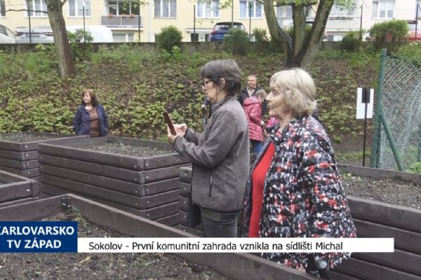 Sokolov: První komunitní zahrada vznikla na sídlišti Michal (TV Západ)