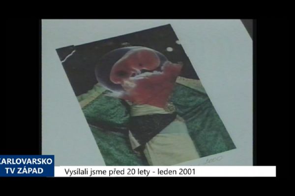 2001 – Sokolov: V zámečku jsou k vidění koláže od Lisy Gaman (TV Západ)