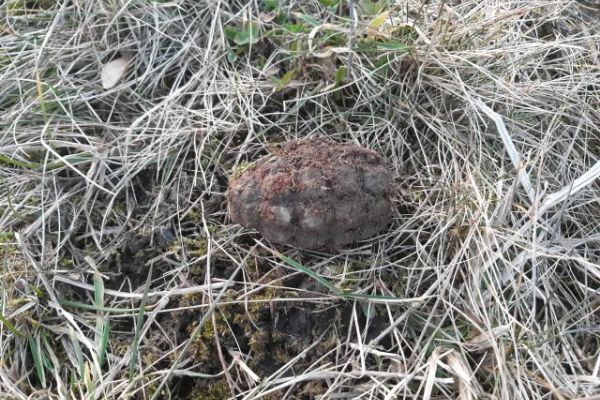 Andělská Hora: Nalezl ruční granát
