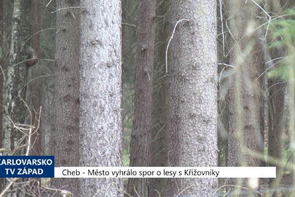 Cheb: Město vyhrálo spor o lesy s Křížovníky (TV Západ)