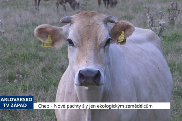 Cheb: Nové pachty šly jen ekologickým zemědělcům (TV Západ) Cheb: Nové pachty šly jen ekologickým zemědělcům (TV Západ)