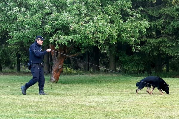 Chebsko: Policejní pes Karo vypátral dva zloděje 