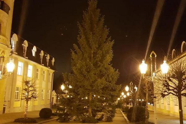 Františkovy Lázně: Město se již pyšní vánočním stromem
