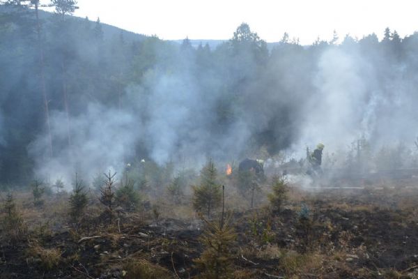 Hořící les pomáhal hasit i vrtulník