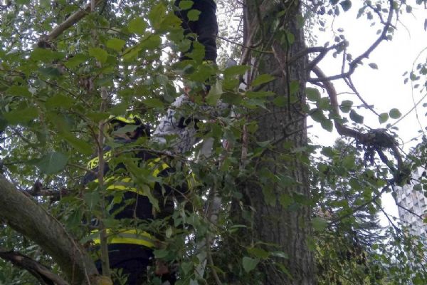 Karlovy Vary: Hasiči zachraňovali chlapce a jeho dron Karlovy Vary: Hasiči zachraňovali chlapce a jeho dron