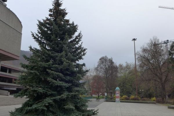 Karlovy Vary: Symbol Vánoc už je na místě