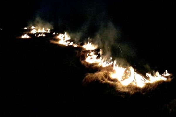 Kojšovice: Hasiči likvidovali požár travního porostu