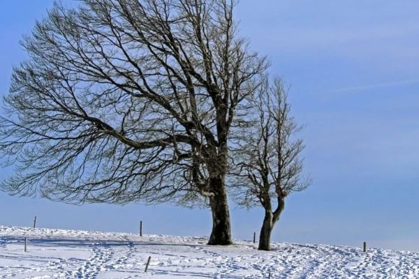 Meteorologové varují nejen před náledím a sněhovými jazyky, ale i před silným větrem