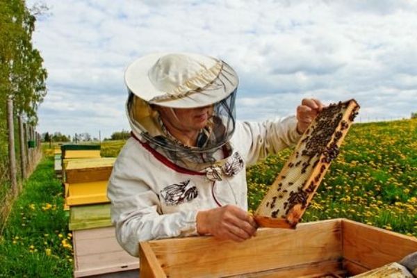 O podporu ze strany kraje projevili včelaři opět velký zájem
