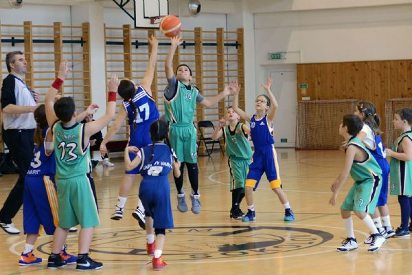 Sokolov: Sedm výher basketbalistů