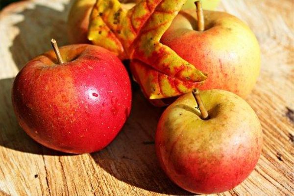 SZPI opět varuje před jablky z Polska. Obsahují pesticid