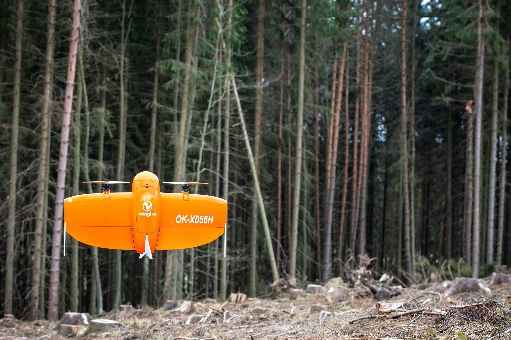 Plzeň bojuje proti kůrovci, v městských lesích pomáhají drony