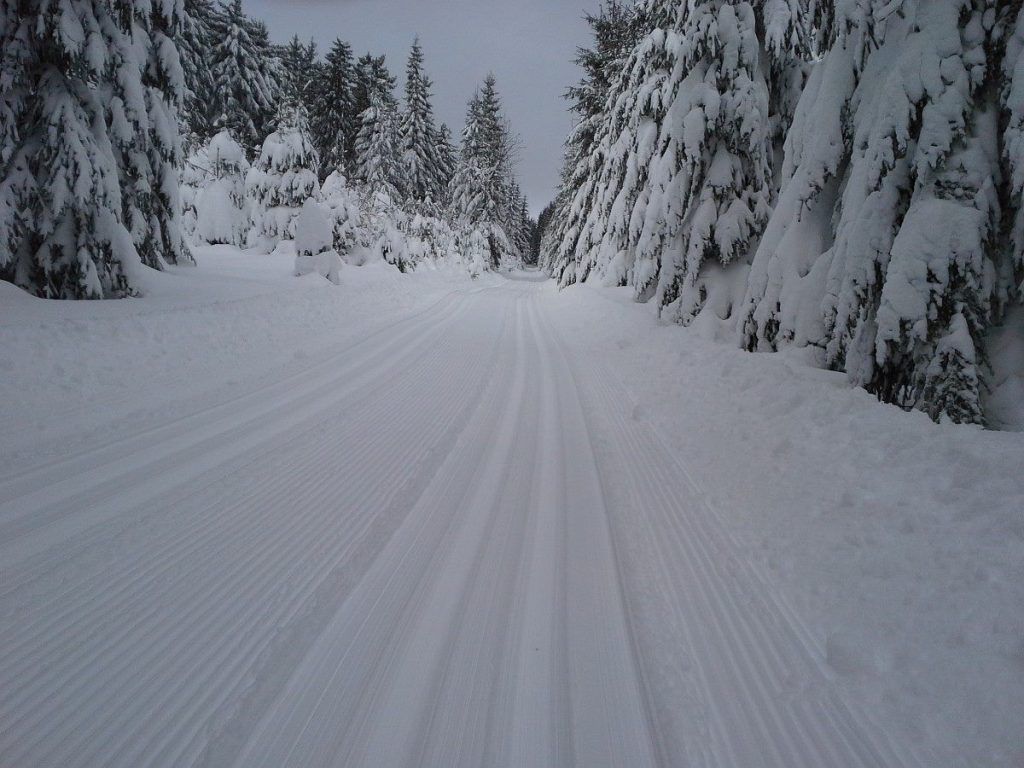 Jarní prázdniny startují, Šumava se plní