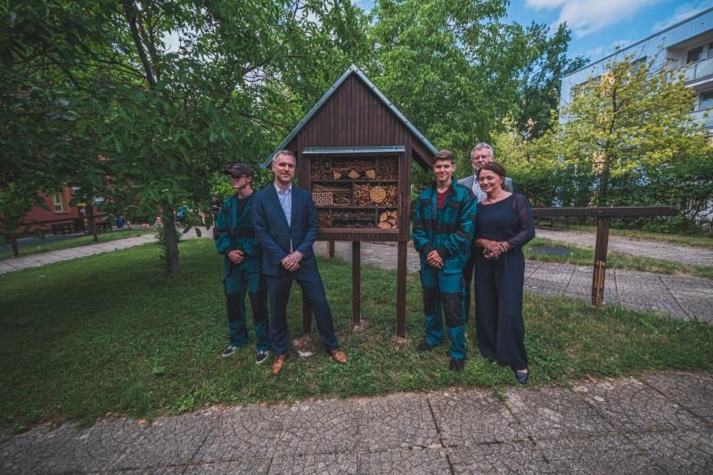 Hlavní město předalo domovům pro seniory hmyzí hotel a knihobudky vyrobené z vánočního stromu