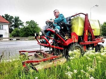 Plzeň má nová doporučení, jak se starat o trávníky