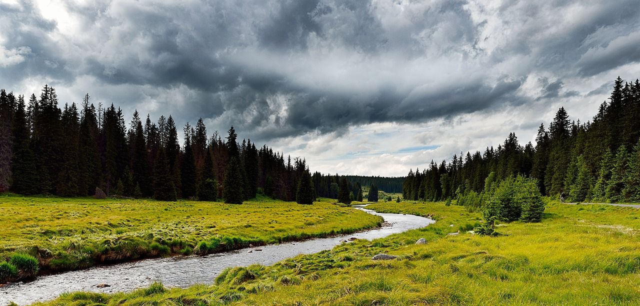 Novela ohrožuje světové uznání NP Šumava