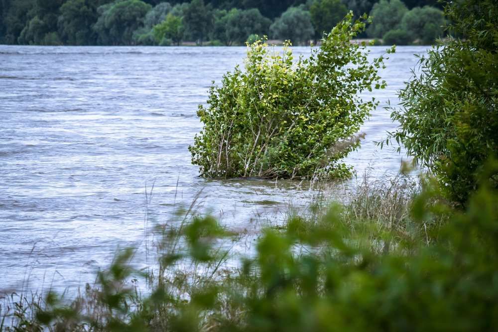 Naděje po povodních: 175 milionů pomoci zamířilo na Opavsko