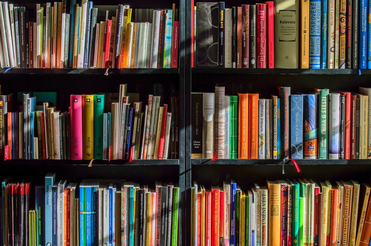 Regionální knihovna Karviná je letos nejlepší knihovnou v kraji, získala ocenění Knihovnická K2