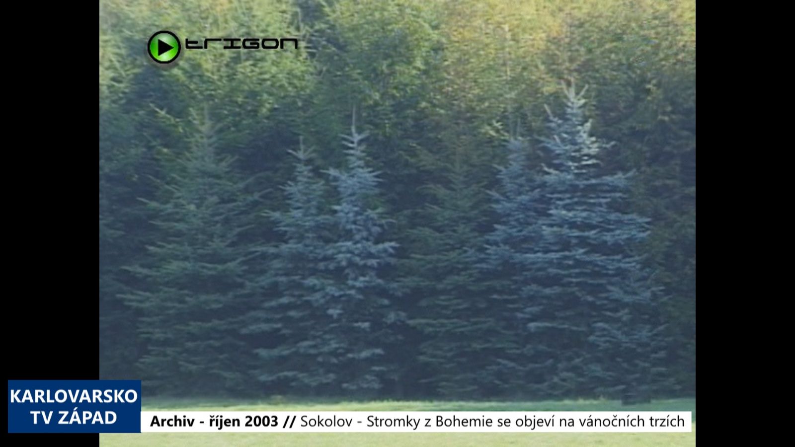 2003 – Sokolov: Stromky z Bohemie se objeví na vánočních trzích (TV Západ)