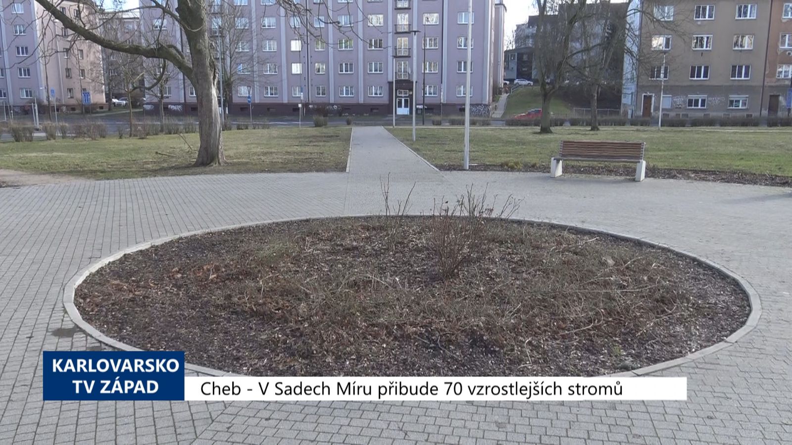 V Sadech míru přibude 70 vzrostlejších stromů (TV Západ)