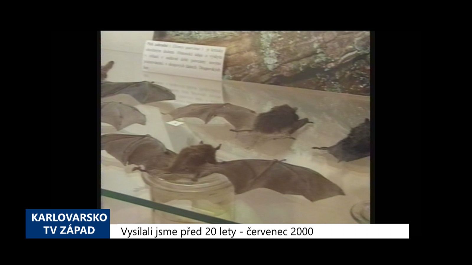 2000 – Sokolov: Probíhá výstava Ohře, řeka pozoruhodná (TV Západ)
