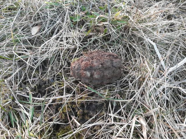 Andělská Hora: Nalezl ruční granát