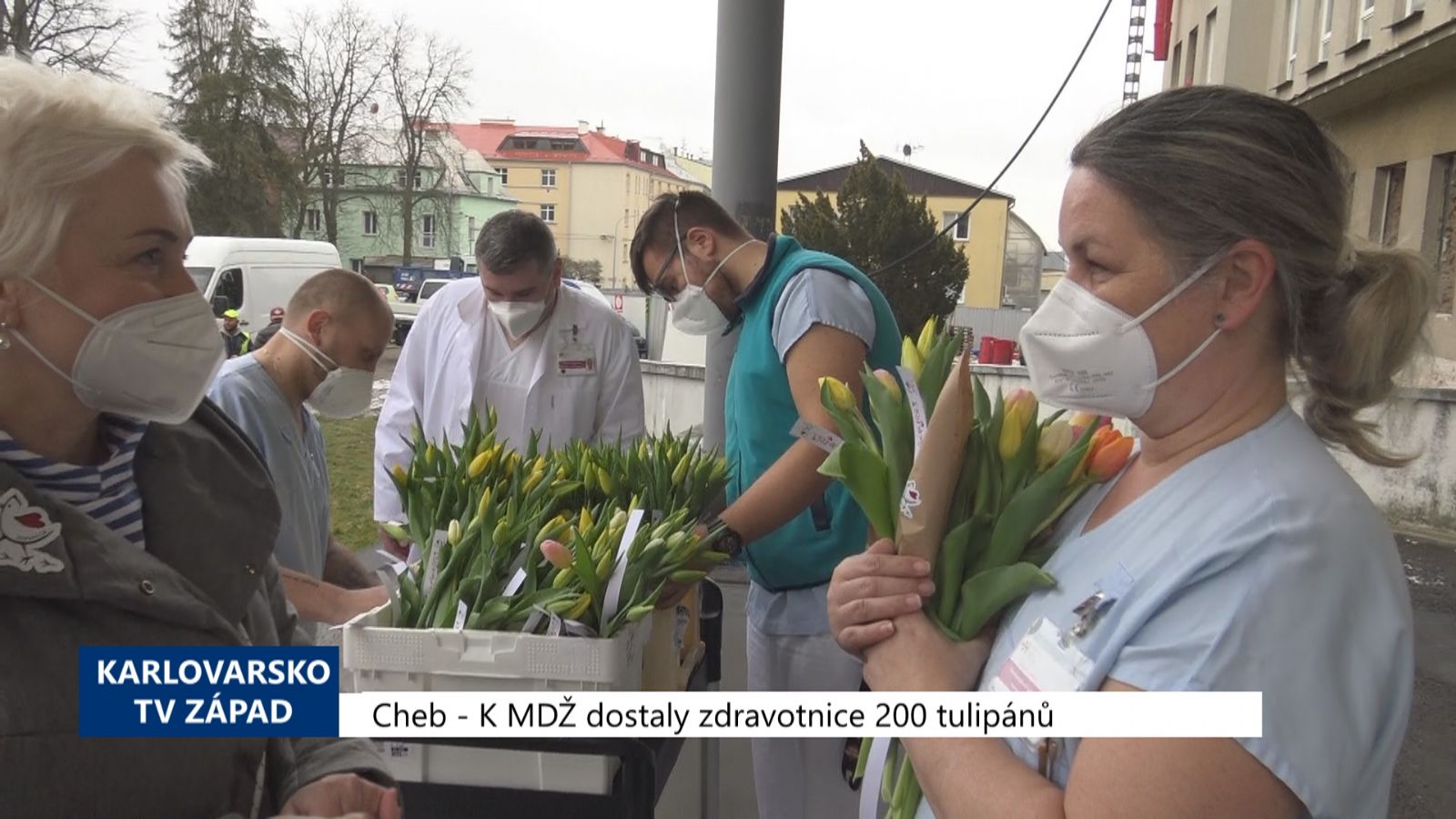 Cheb: K MDŽ dostaly zdravotnice 200 tulipánů (TV Západ)