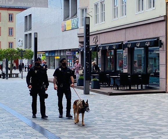 Cheb: Pes, doprovod městských strážníků