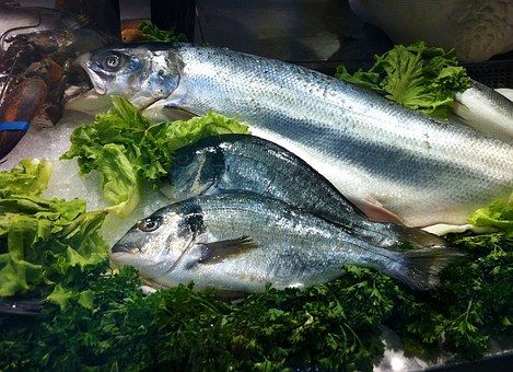 Karlovy Vary: Farmářské trhy zpestří Ryba na talíři
