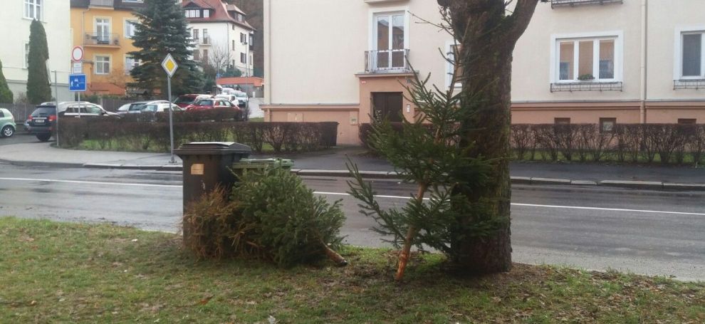 Karlovy Vary: Město bude svážet vánoční stromky od pondělí