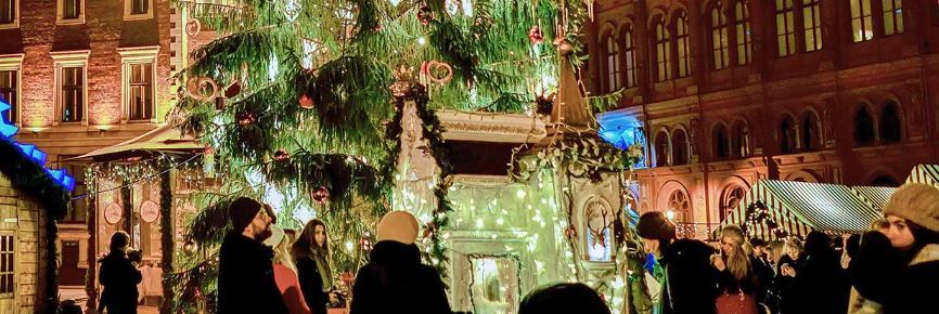 Karlovy Vary: V pondělí bude pokácen strom pro vánoční trhy