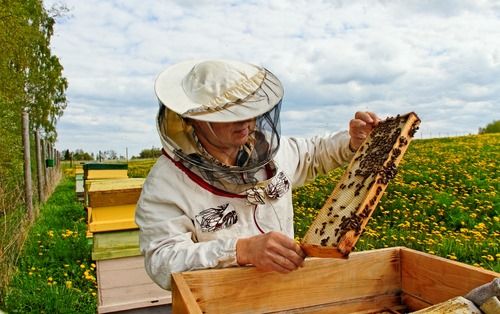Kraj i v letošním roce vyhlašuje dotační program na podporu včelařství