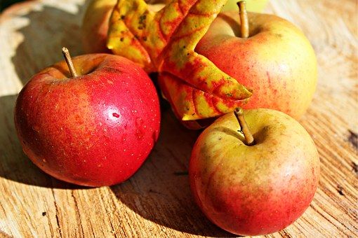 Sadaři v kraji očekávají nadprůměrnou sklizeň jablek