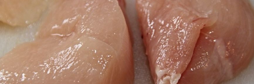 Od dubna byla zjištěna salmonela v celkem 16 tunách drůbežího masa z Polska