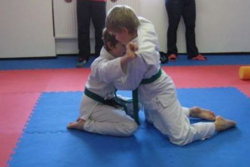 Karlovarský kraj bude hostit turnaj v karate